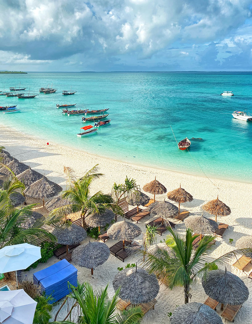 Beach Safaris