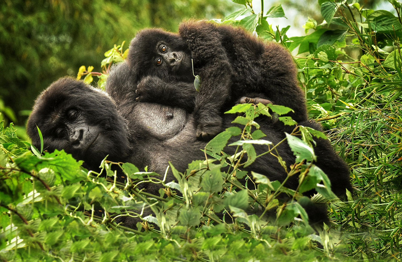 Rwanda